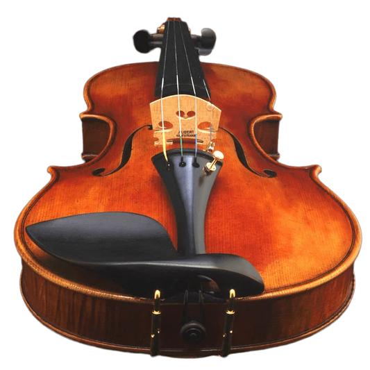 4/4 Violine Geige Amati Modell SET - Schülergeige vom Geigenbauer Ron Salem - vionoble.de