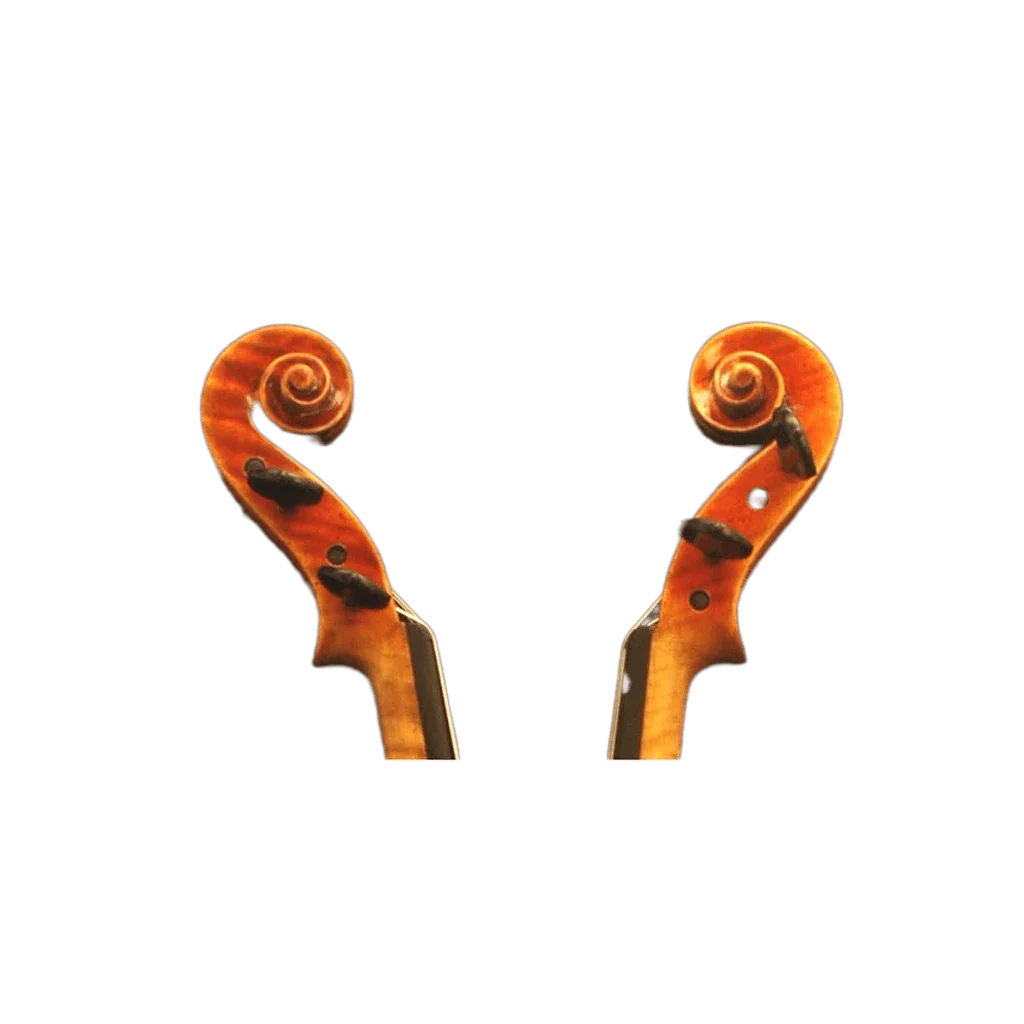 4/4 Violine Geige Amati Modell SET - Schülergeige vom Geigenbauer Ron Salem - vionoble.de