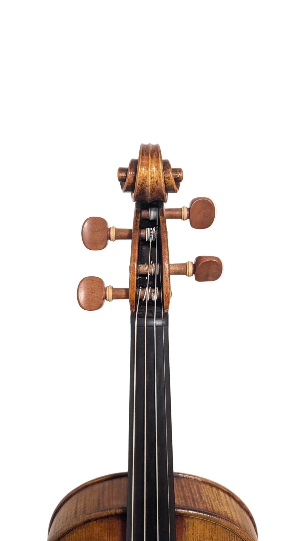 Geige Violine 4/4 Guarneri SET mit Bogen und Koffer - vionoble.de