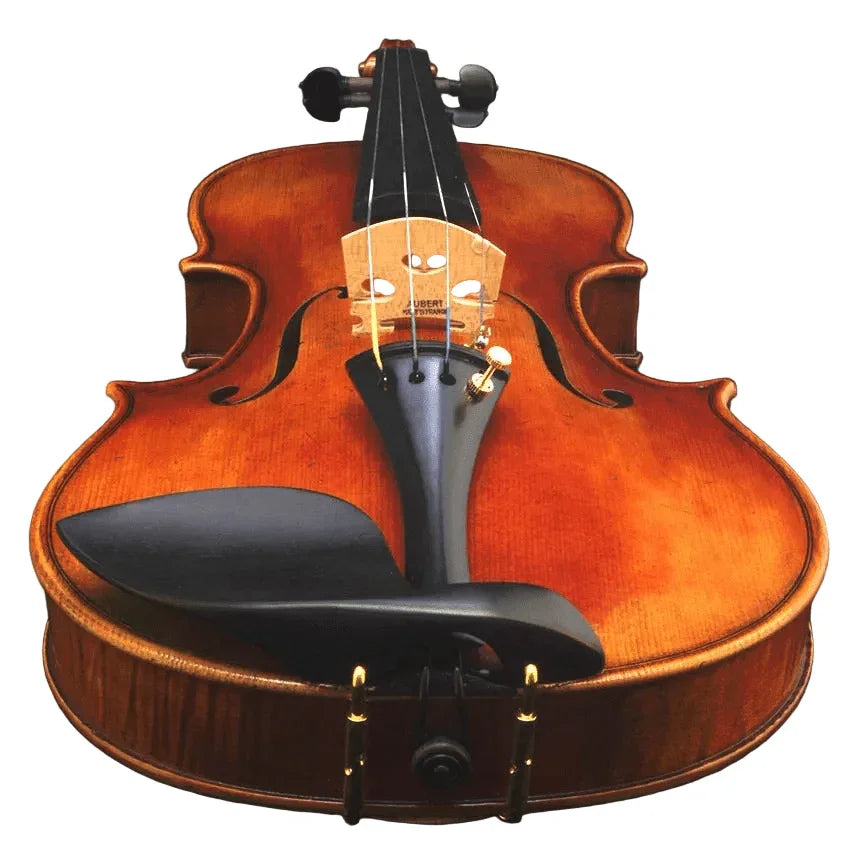 Geige kaufen für Anfänger - Einsteigergeigen bis 1000€ - vionoble.de