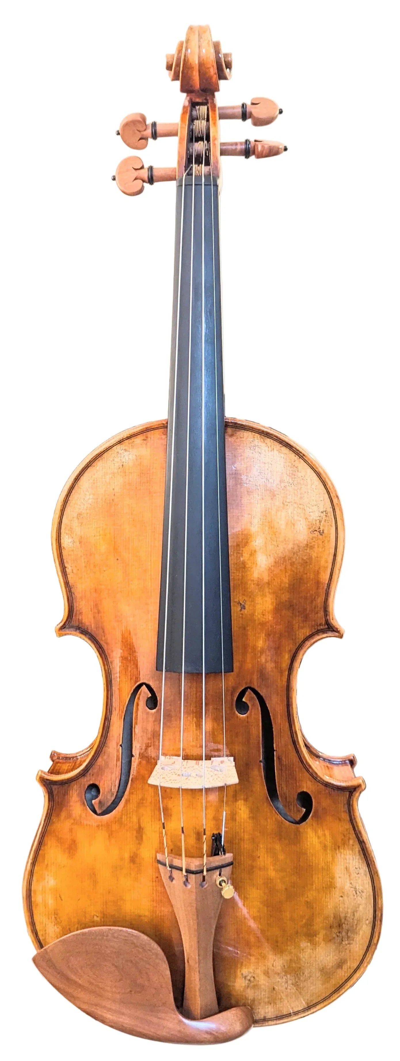 Violine kaufen Fortgeschrittene - Geigen 1000-2000€ - vionoble.de