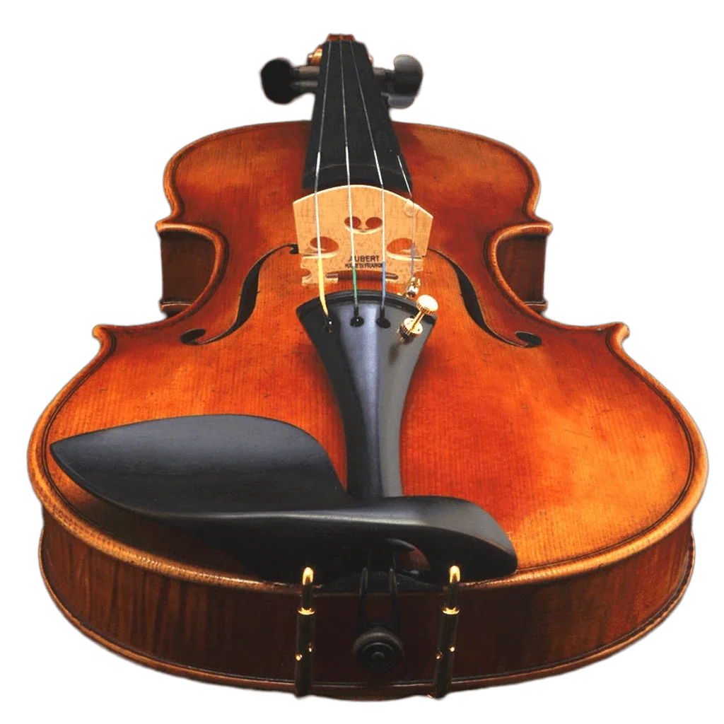 4/4 Violine Geige Amati Modell SET - Schülergeige vom Geigenbauer Ron Salem - vionoble.de