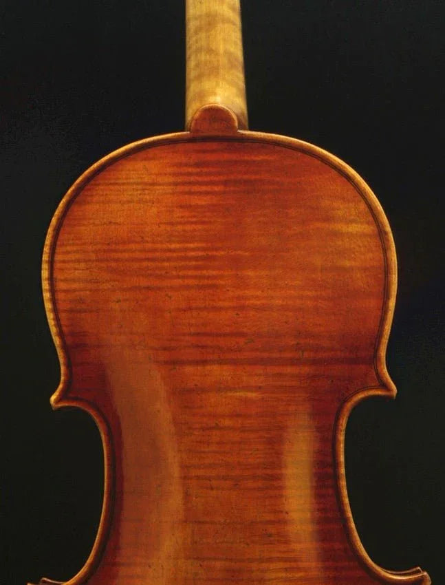 4/4 Violine Geige Amati Modell SET - Schülergeige vom Geigenbauer Ron Salem - vionoble.de