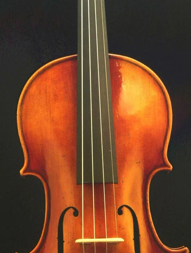 4/4 Violine Geige Amati Modell SET - Schülergeige vom Geigenbauer Ron Salem - vionoble.de