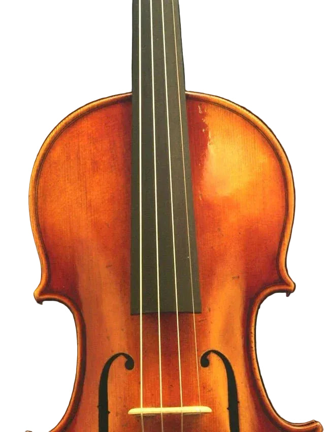 4/4 Violine Geige Amati Modell SET - Schülergeige vom Geigenbauer Ron Salem - vionoble.de