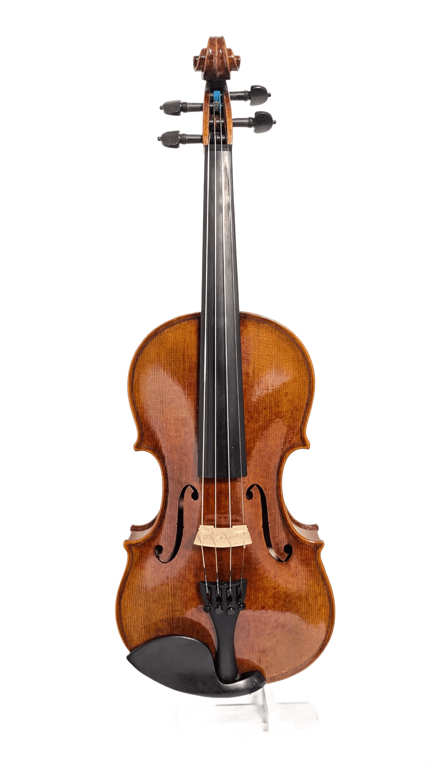 Jake Chan Violine: Top Schülergeige & für Fortgeschrittene