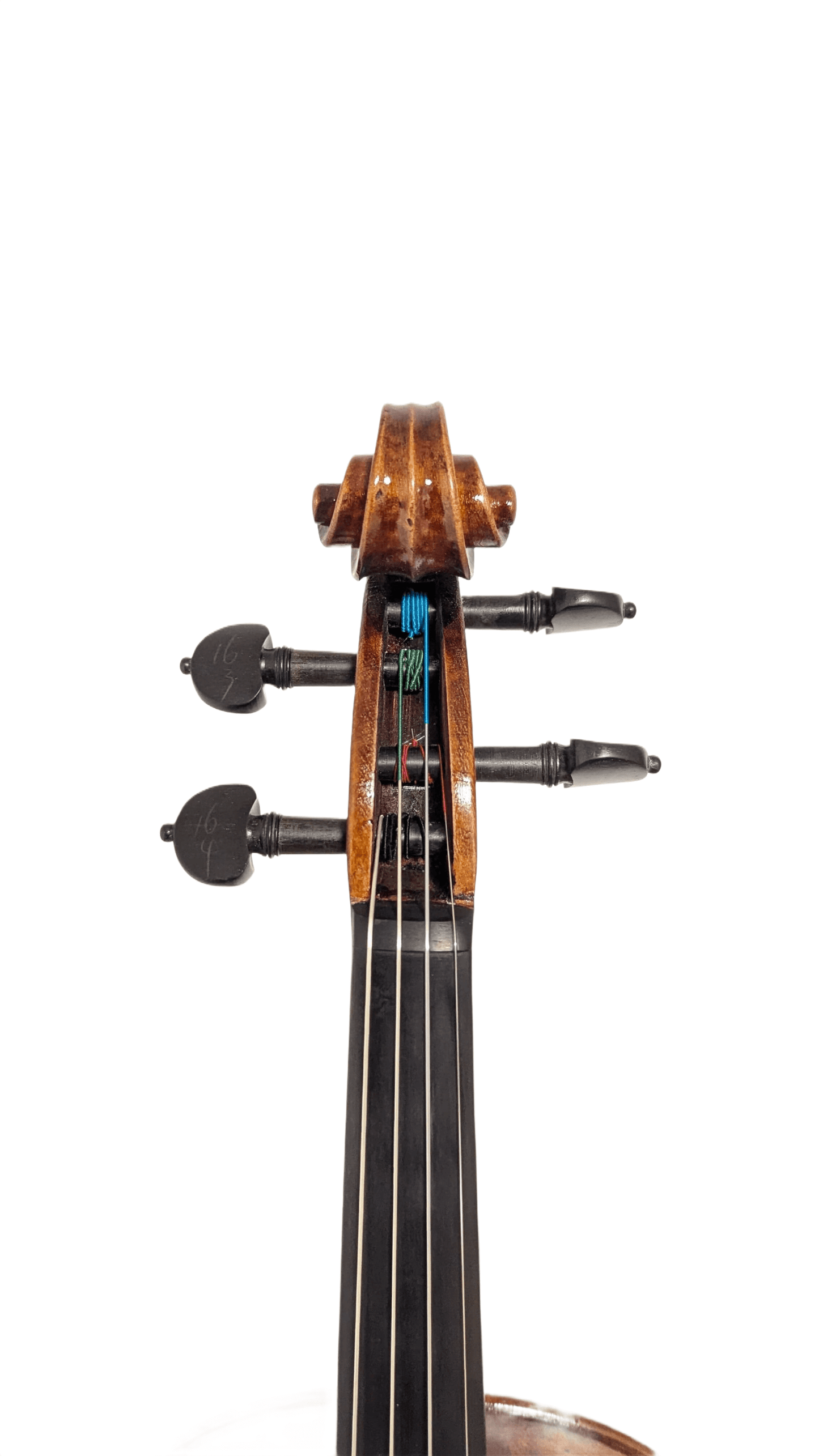 Jake Chan Violine: Top Schülergeige & für Fortgeschrittene