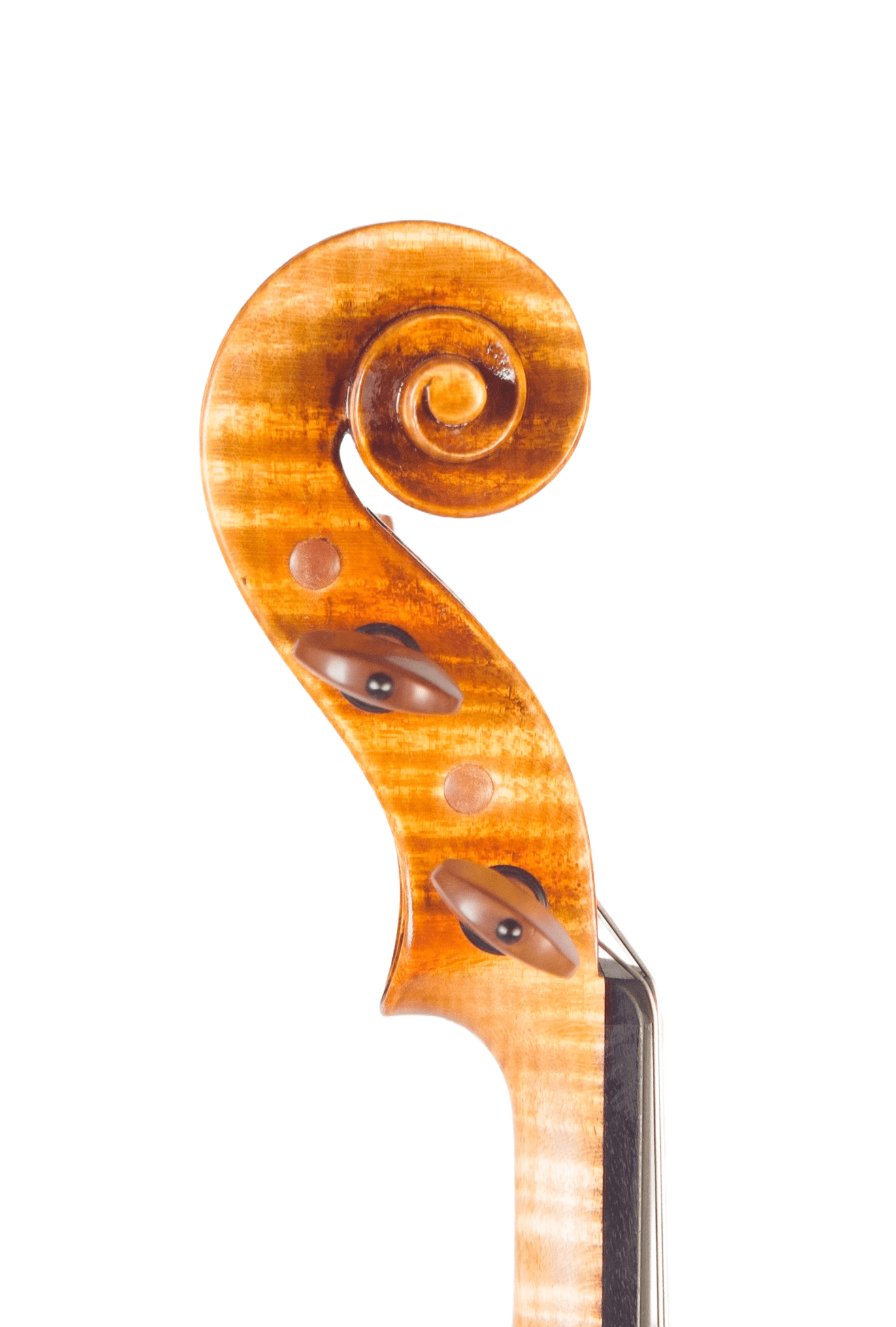 Plamen Petrov Guarneri Kochanski Meistergeige #234 - Schnecke Seitenansicht mit geflammter Ahornmaserung