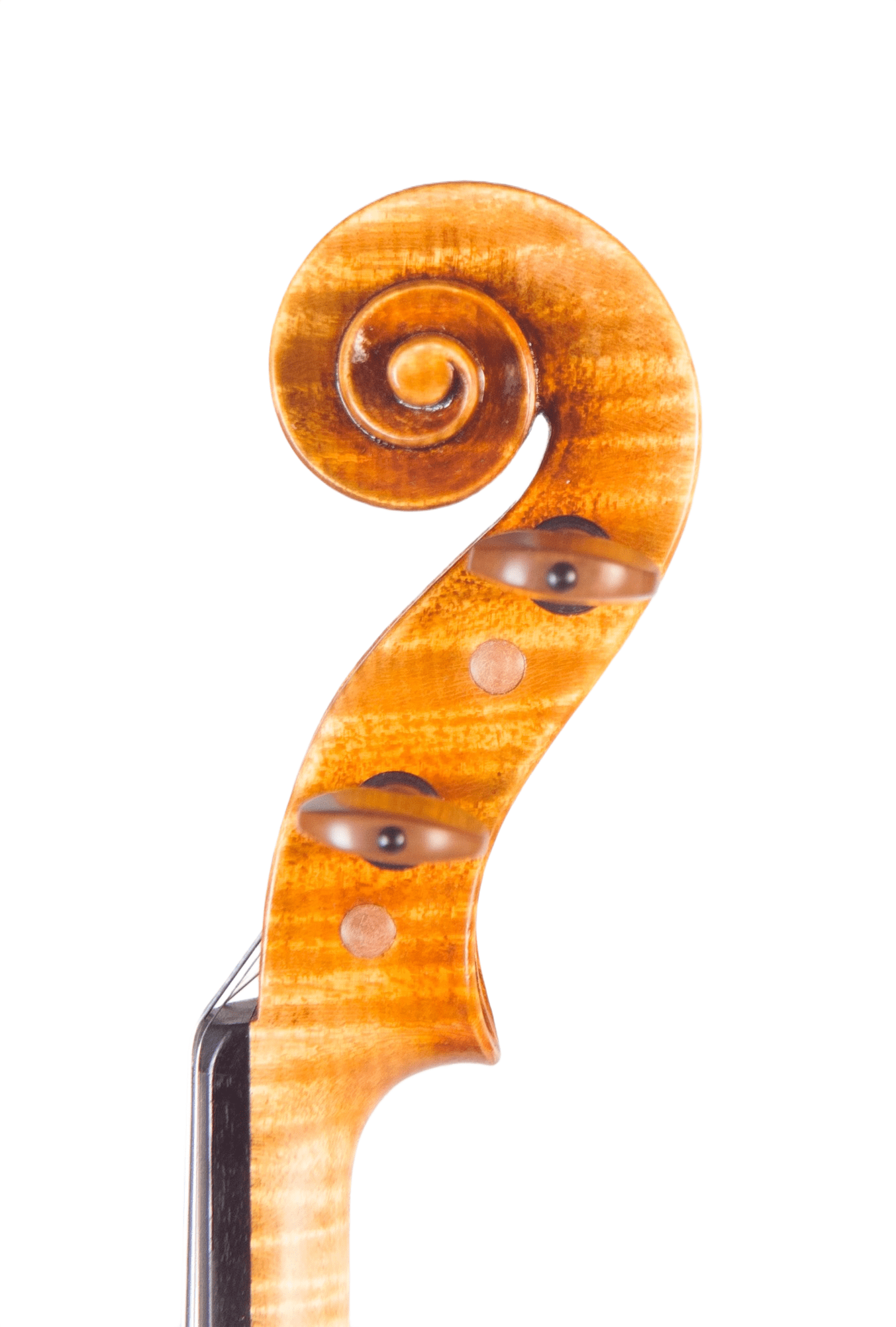 Plamen Petrov Guarneri Kochanski Meistergeige #234 - Schnecke und Hals mit geflammter Maserung