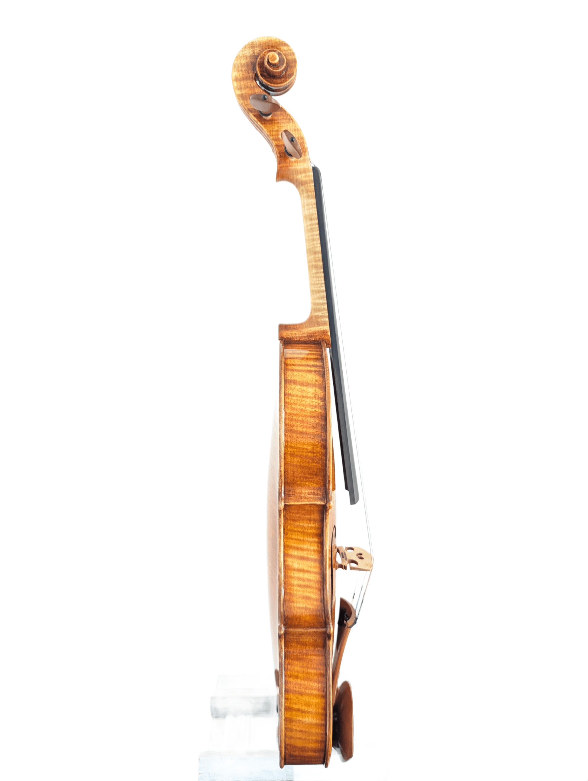 Plamen Petrov Guarneri Kochanski Meistergeige #234 - Komplette Seitenansicht der Violine