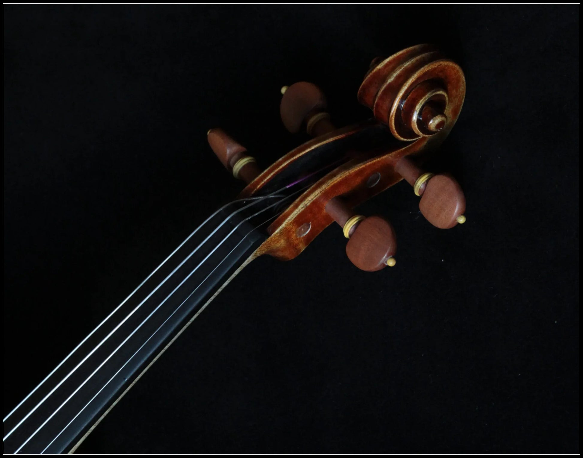 Nahaufnahme des Wirbelkastens und Griffbretts einer hochwertigen Stradivari Violine vor schwarzem Hintergrund