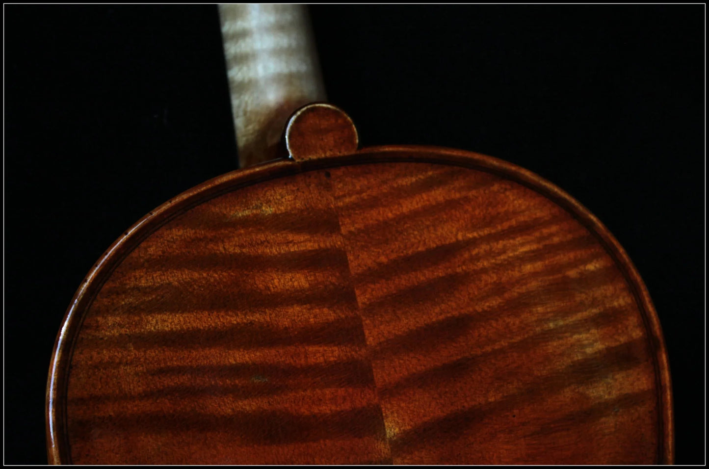 Nahaufnahme Rückseite einer Stradivarius Geige mit sichtbar gemasertem Holz und warmem Braunton vor schwarzem Hintergrund