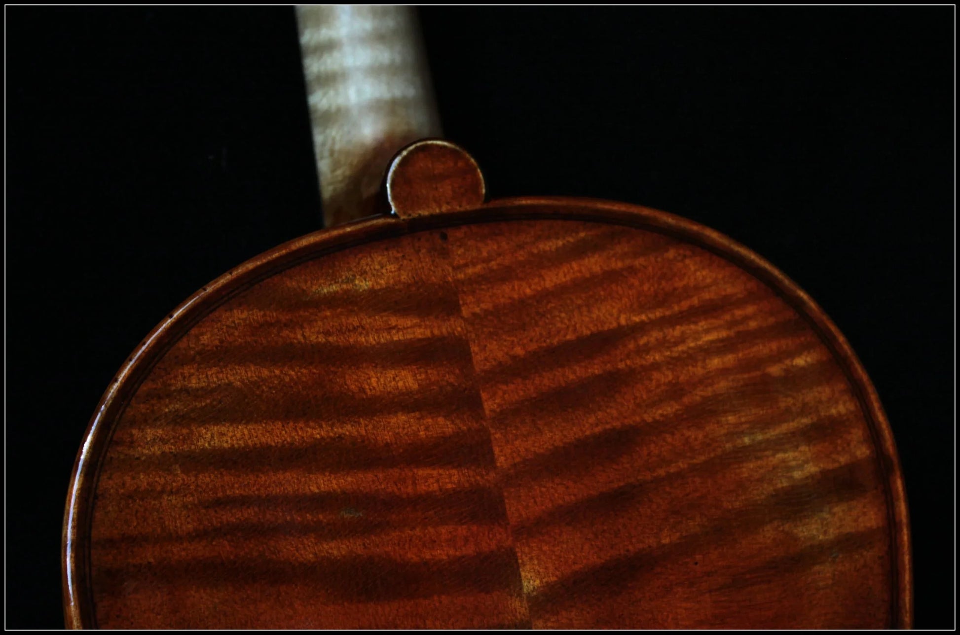 Nahaufnahme Rückseite einer Stradivarius Geige mit sichtbar gemasertem Holz und warmem Braunton vor schwarzem Hintergrund