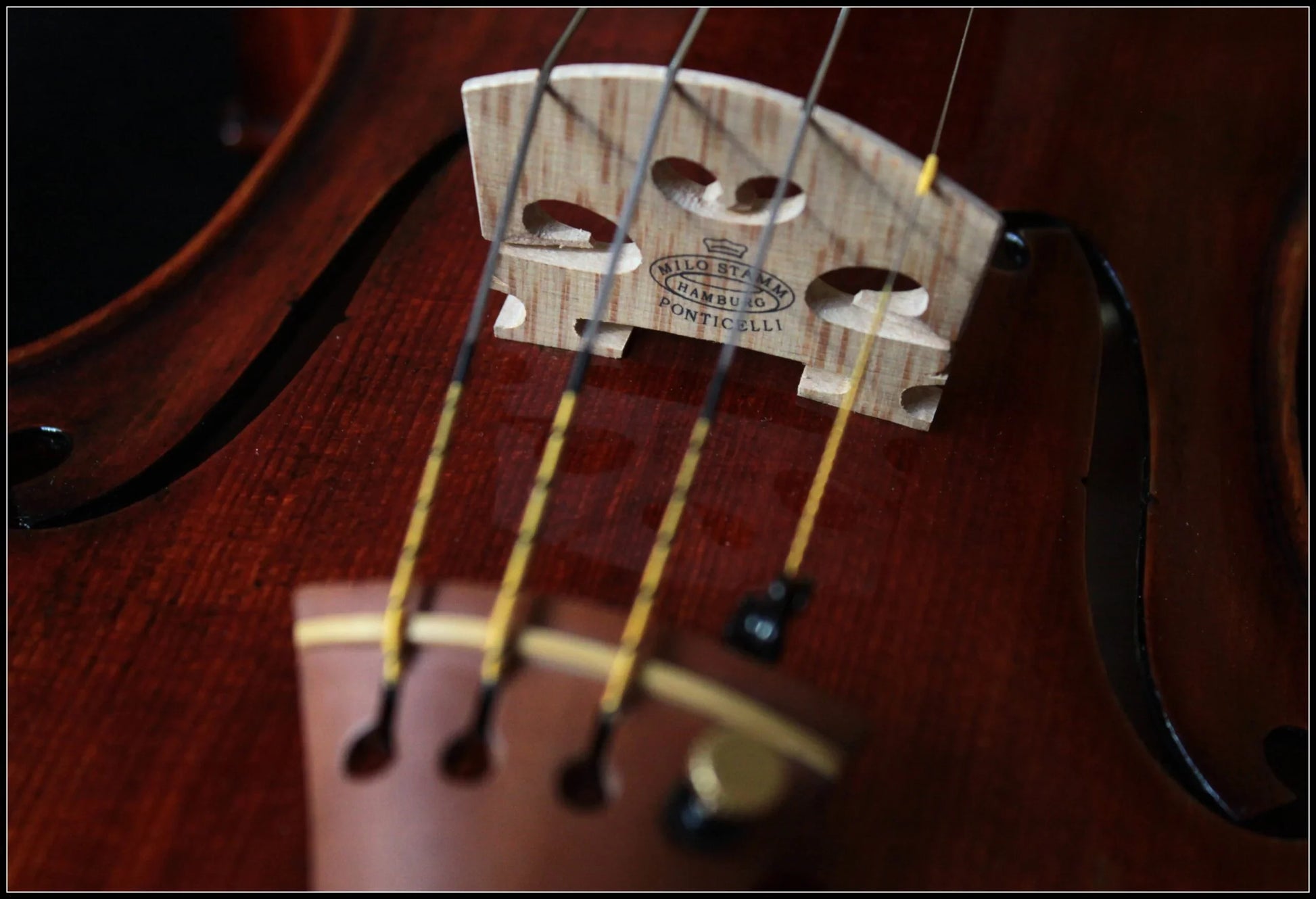 Nahaufnahme einer dunkelbraunen Geige mit sichtbar gekennzeichnetem Steg von Milo Stamm Hamburg, Violine für Fortgeschrittene