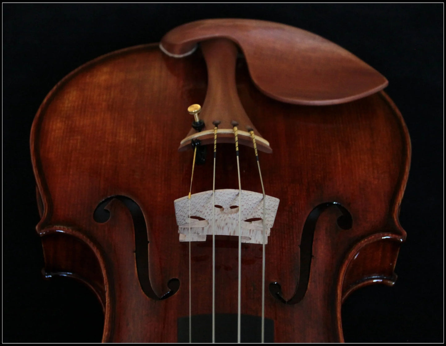 Nahaufnahme einer hochwertigen, braunen Geige mit feiner Holzmaserung und Kinnstütze vor schwarzem Hintergrund