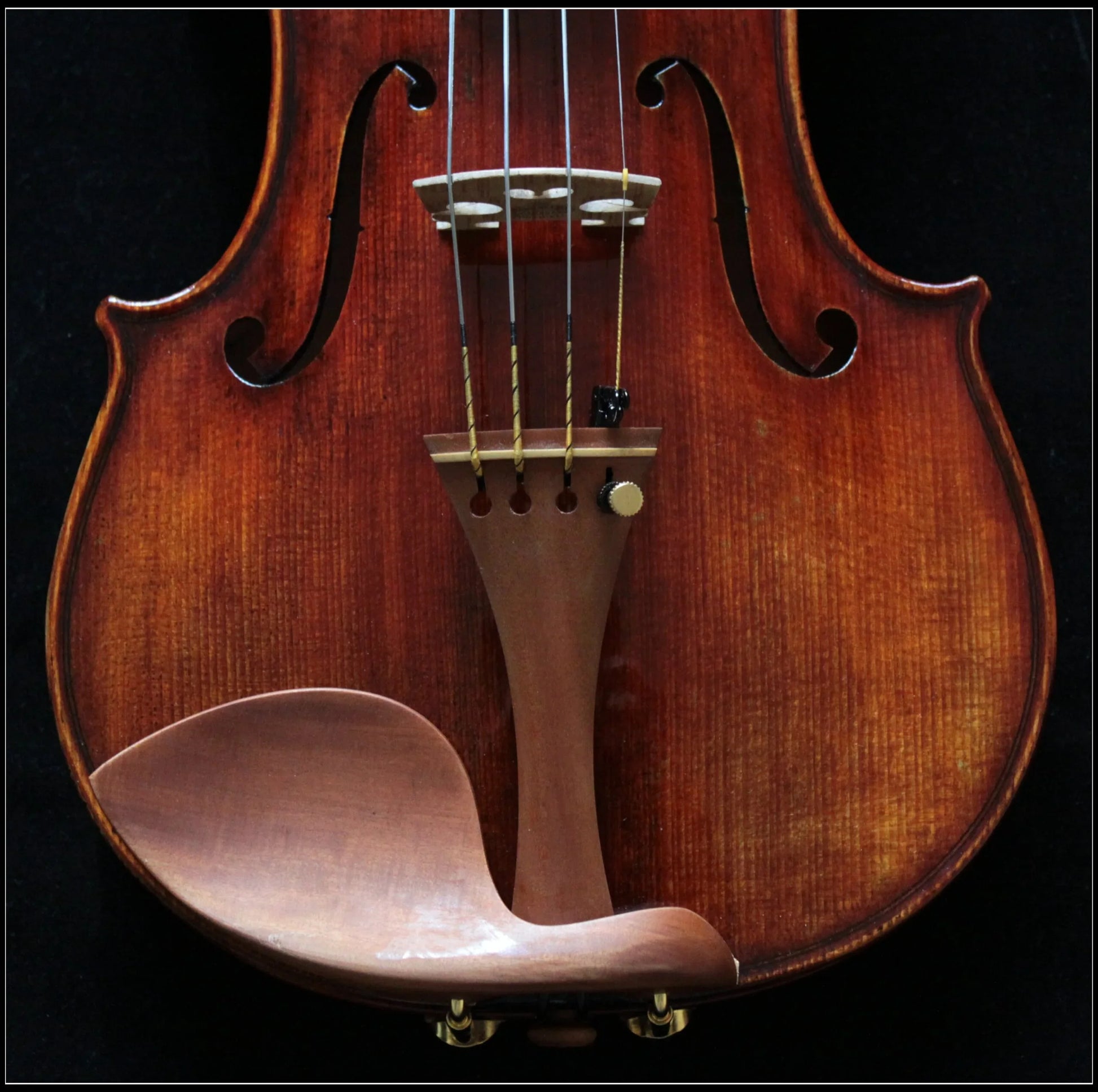 Nahaufnahme einer hochwertigen Stradivarius Violine mit feiner Holzmaserung und Schulterstütze