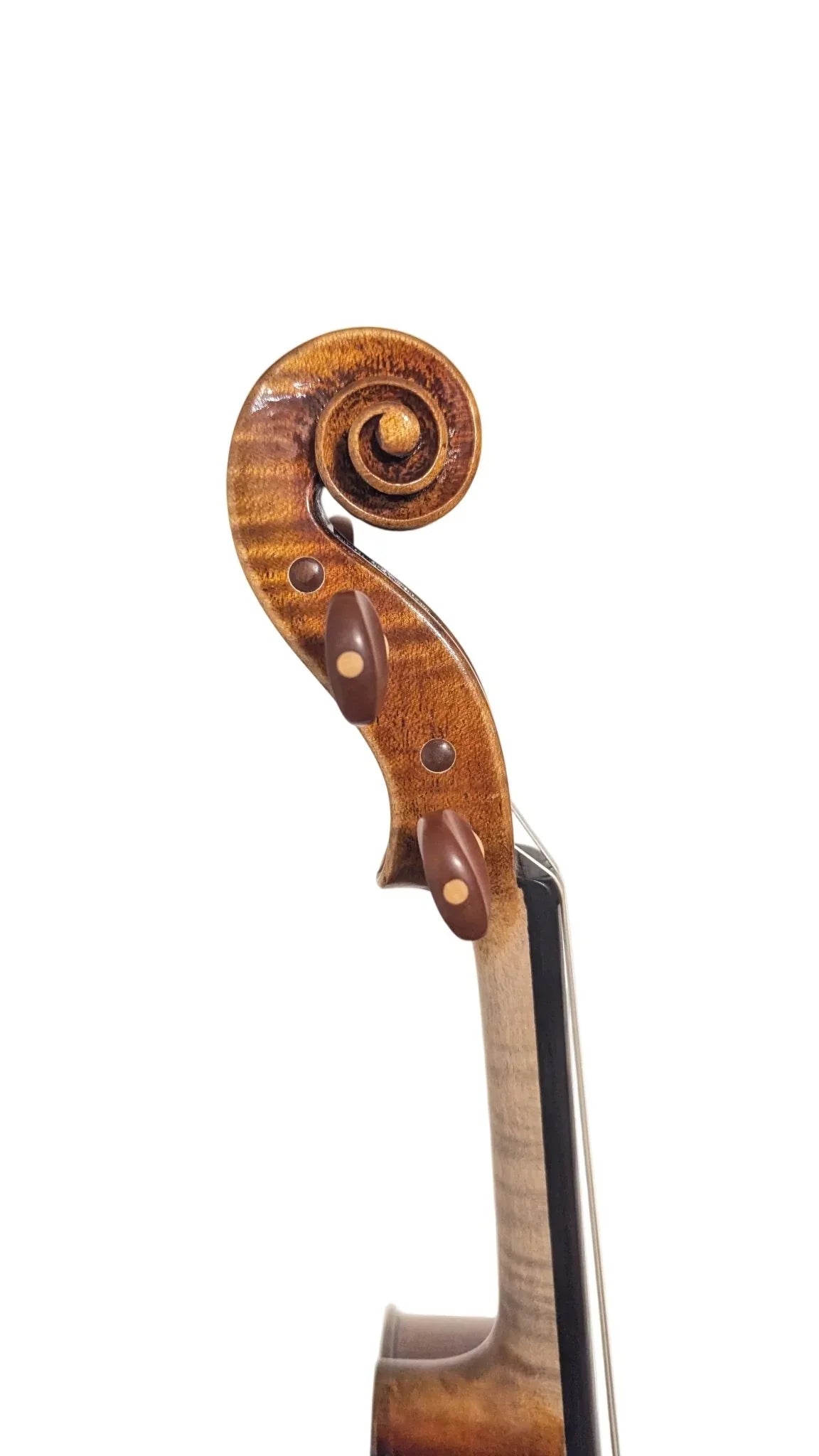 Geige Violine 4/4 Guarneri SET mit Bogen und Koffer - vionoble.de