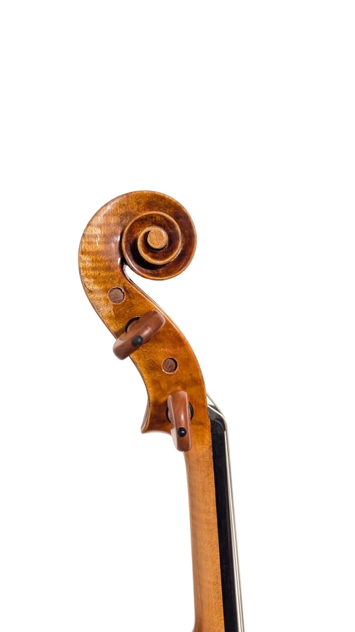 Li Zhihua Meistergeige – Guarneri del Gesù "Il Cannone" (1743) - vionoble.de