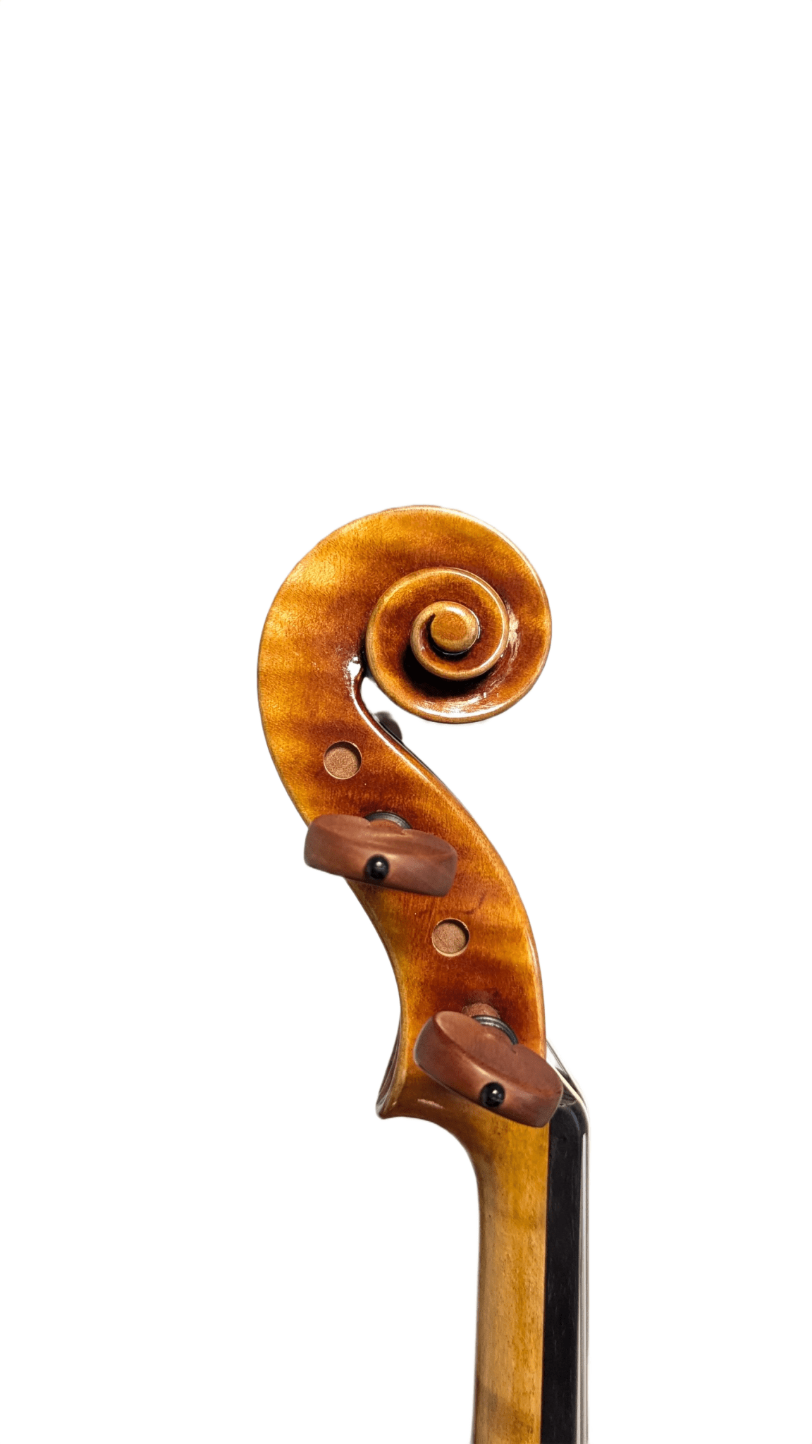 Ming Jiang Zhu 905 Violine – Guarneri Modell A mit warmem, ausgewogenem Klang - vionoble.de