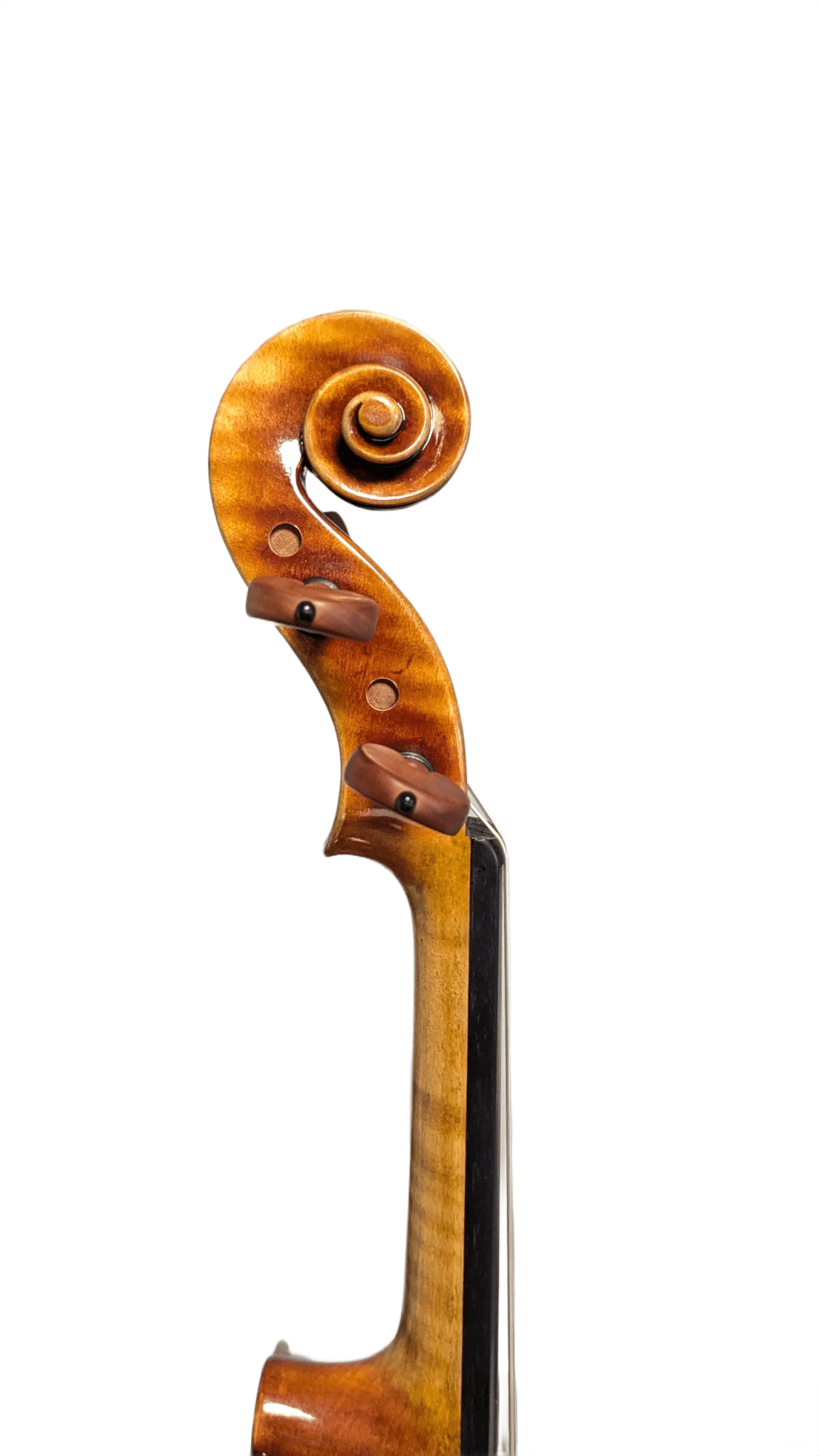 Ming Jiang Zhu 905 Violine – Guarneri Modell A mit warmem, ausgewogenem Klang - vionoble.de