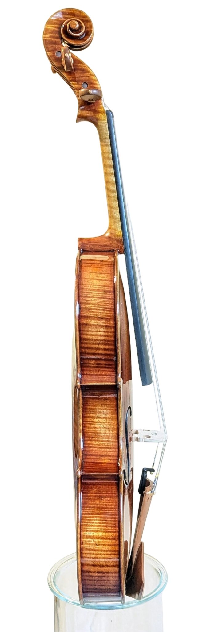 Ming Jiang Zhu 907 Viola – Meisterbratsche - vionoble.de