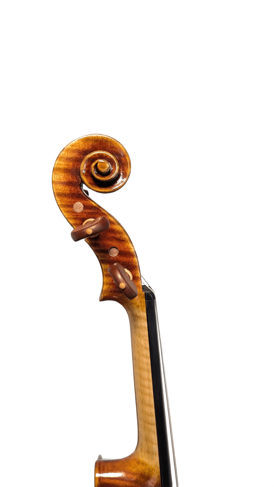 Ming Jiang Zhu 907 Violine – Guarneri Modell mit europäischer Fichte - vionoble.de