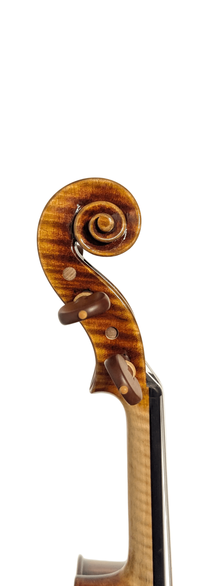 Ming Jiang Zhu 907 Violine – Guarneri Modell mit europäischer Fichte - vionoble.de