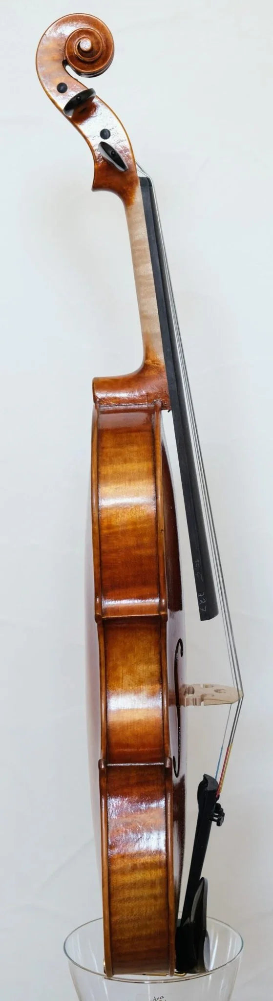 Viola 15,5 Zoll kaufen | Da Salò Modell | Ning Liu | Set mit Koffer & Bogen - vionoble.de