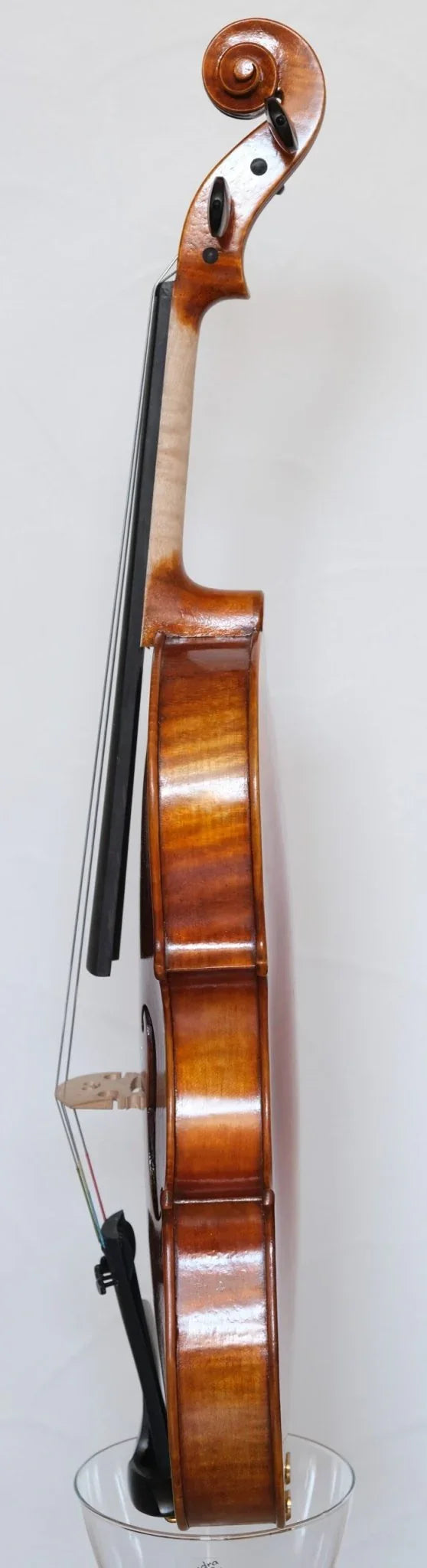 Viola 15,5 Zoll kaufen | Da Salò Modell | Ning Liu | Set mit Koffer & Bogen - vionoble.de