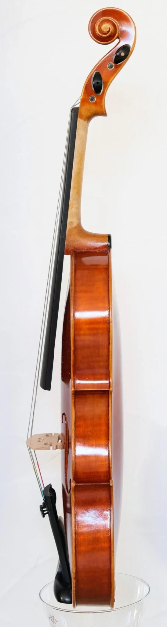 Viola Bratsche 16 Zoll Stradivari Modell Geigenbauer Ning Liu 230 - vionoble.de