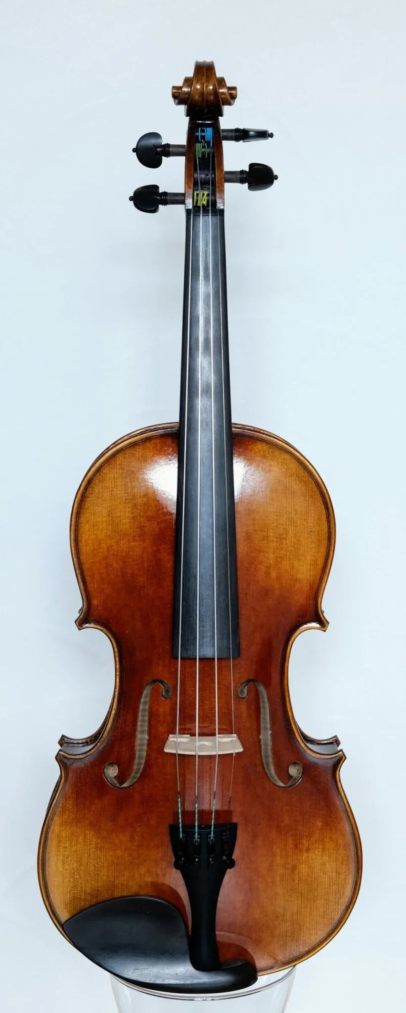 Violine 4/4 Beethoven Meistergeige - Premium SET von Ning Liu - vionoble.de