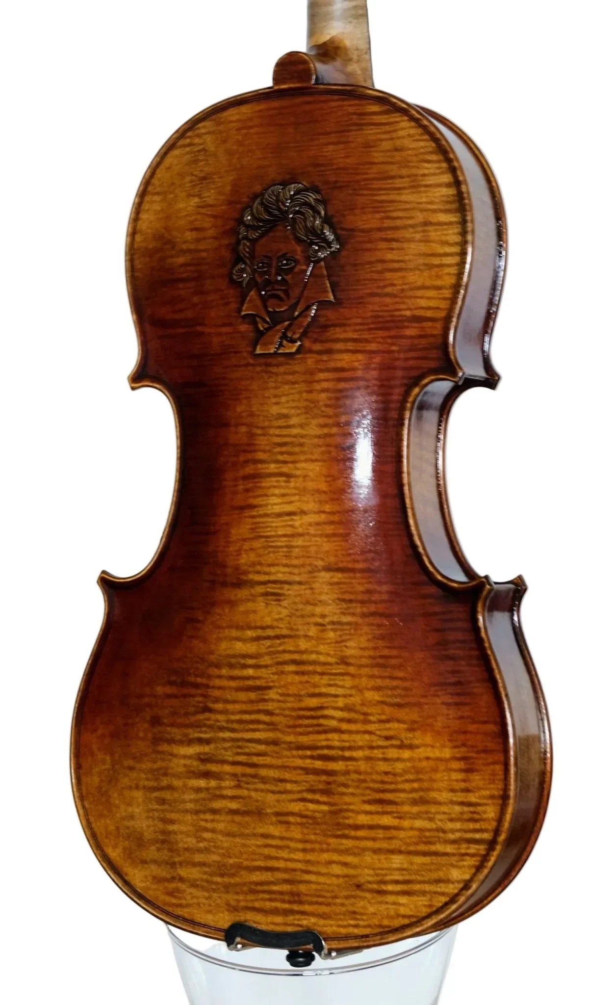 Violine 4/4 Beethoven Meistergeige - Premium SET von Ning Liu - vionoble.de