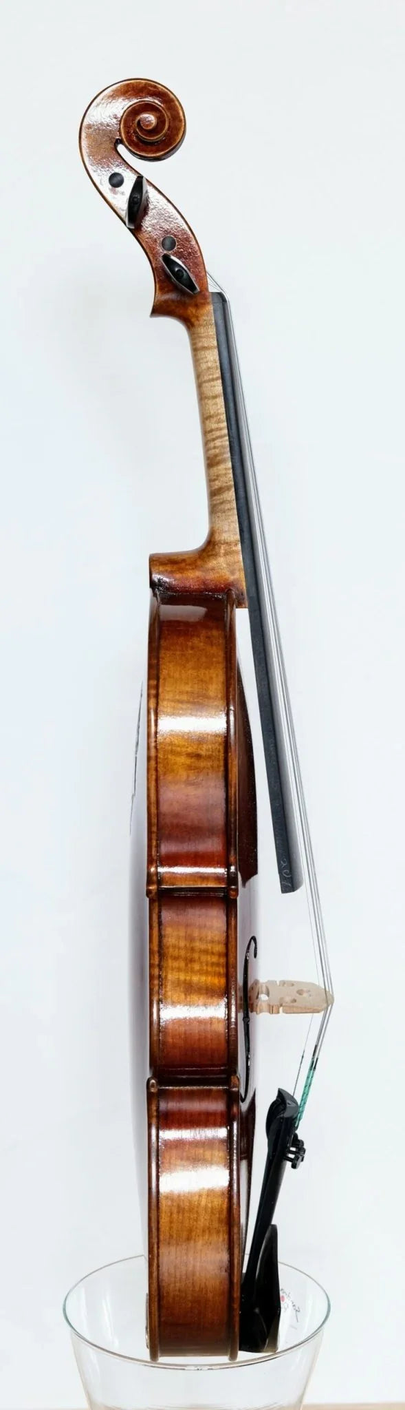 Violine 4/4 Beethoven Meistergeige - Premium SET von Ning Liu - vionoble.de