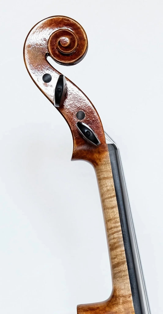 Violine 4/4 Beethoven Meistergeige - Premium SET von Ning Liu - vionoble.de