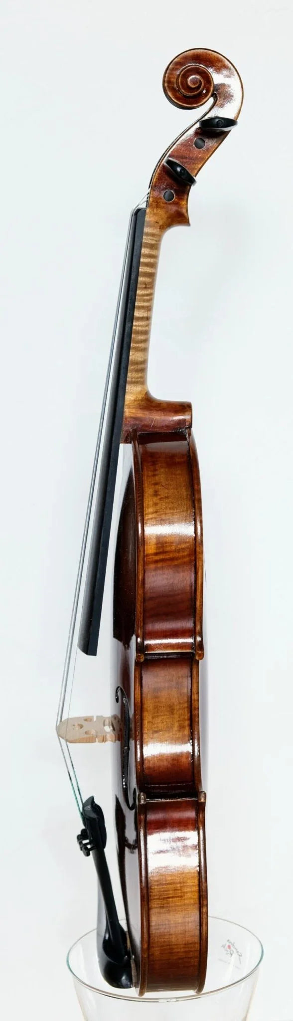 Violine 4/4 Beethoven Meistergeige - Premium SET von Ning Liu - vionoble.de
