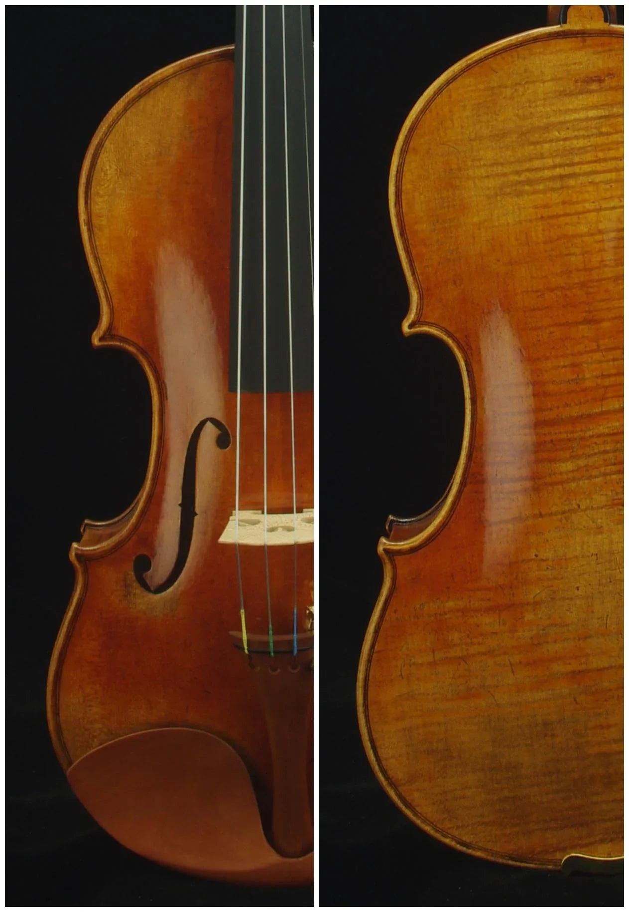 Violine Geige 4/4 Guarneri Modell SET Geigenbauer Ron Salem - vionoble.de