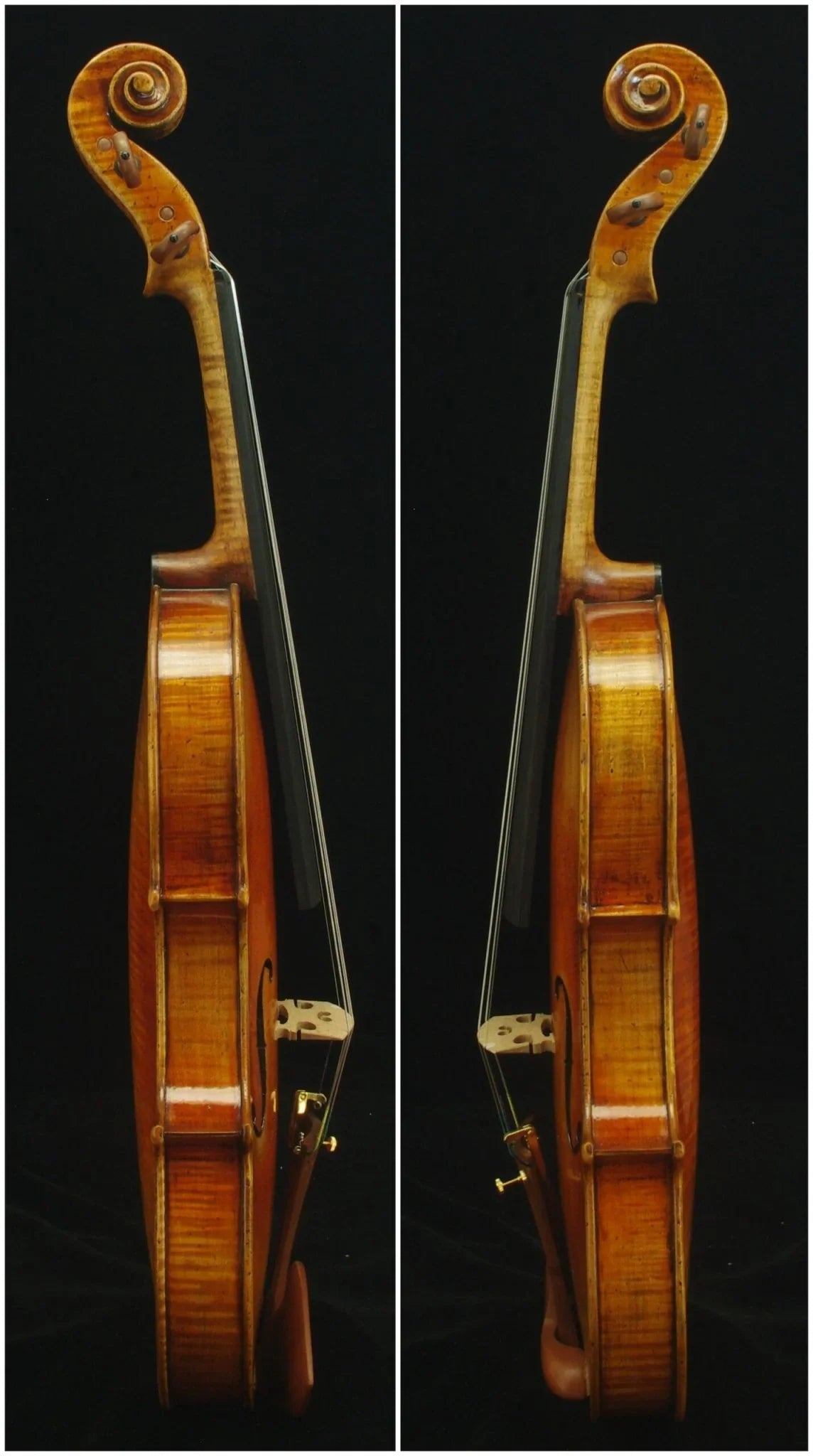 Violine Geige 4/4 Guarneri Modell SET Geigenbauer Ron Salem - vionoble.de